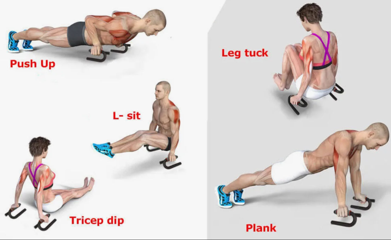 Push Up Bar Push-Ups Stands Bars Tool Fitness Chest Training